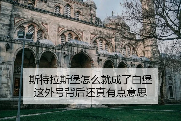 si-te-la-si-bao-zen-me-jiu-cheng-le-bai-bao-zhe-wai-hao-bei-hou-hai-zhen-you-dian-yi-si-1-691.jpg