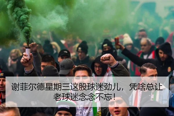 谢菲尔德星期三这股球迷劲儿，凭啥总让老球迷念念不忘！