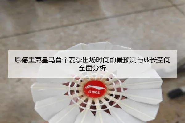 恩德里克皇马首个赛季出场时间前景预测与成长空间全面分析
